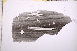 Plane Polarized, E15721