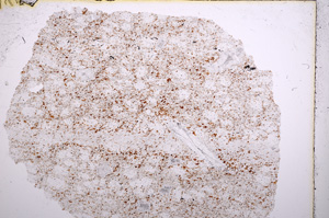 Plane Polarized, E15726