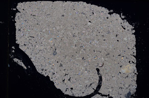 Cross Polarized, E15729