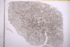 Plane Polarized, E15729