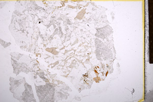 Plane Polarized, E15741