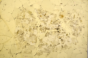 Plane Polarized, E15744