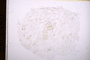 Plane Polarized, E15747