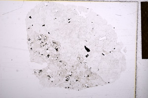 Plane Polarized, E15754
