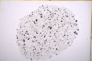 Plane Polarized, E15757