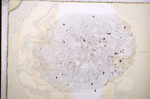 Plane Polarized, E15761