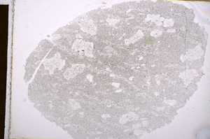 Plane Polarized, E15772