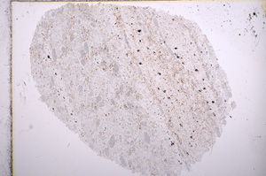 Plane Polarized, E15817