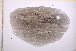 Plane Polarized, E15864