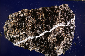 Cross Polarized, E15883