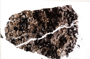 Plane Polarized, E15883