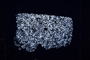 Cross Polarized, E15892