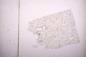 Plane Polarized, E15893
