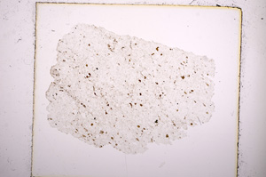Plane Polarized, E15894