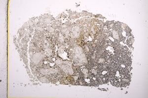 Plane Polarized, E15899