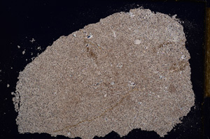 Cross Polarized, E15915