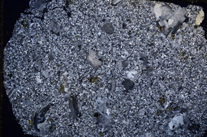 Cross Polarized, E15919