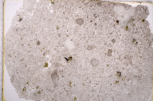 Plane Polarized, E15919