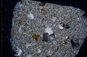 Cross Polarized, E15920