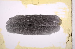 Plane Polarized, E15930