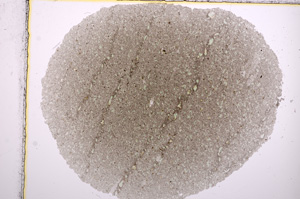 Plane Polarized, E15934