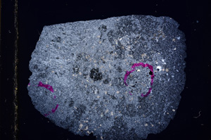 Cross Polarized, E15935