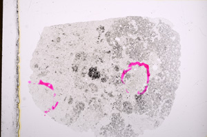 Plane Polarized, E15935