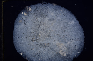 Cross Polarized, E15936