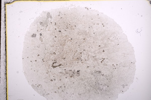 Plane Polarized, E15936