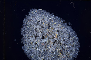 Cross Polarized, E15950