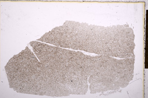 Plane Polarized, E15952