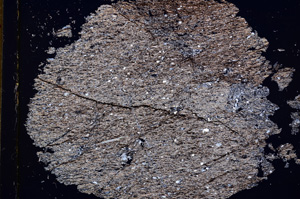 Cross Polarized, E15957