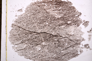 Plane Polarized, E15957