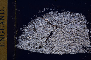 Cross Polarized, E15968