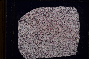 Cross Polarized, E16035