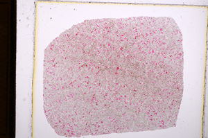 Plane Polarized, E16035