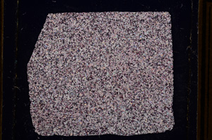 Cross Polarized, E16036