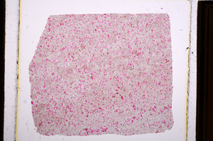 Plane Polarized, E16036