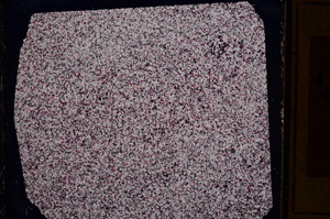 Cross Polarized, E16037