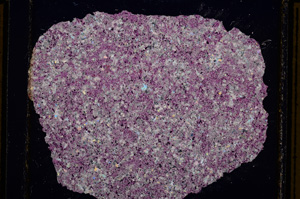 Cross Polarized, E16126