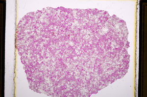 Plane Polarized, E16126