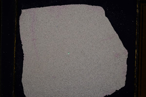 Cross Polarized, E16134