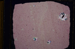 Cross Polarized, E16136