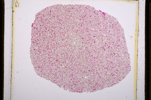 Plane Polarized, E16146