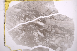 Plane Polarized, E16162