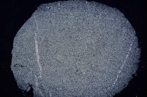 Cross Polarized, E16168