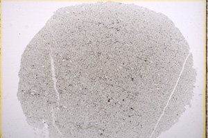 Plane Polarized, E16168