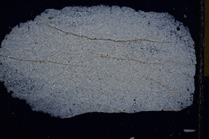 Cross Polarized, E16172