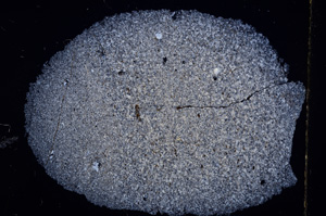 Cross Polarized, E16196
