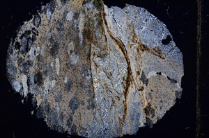 Cross Polarized, E16198